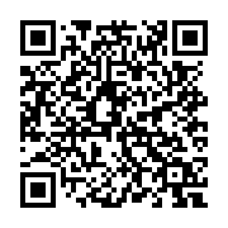 QR code for 482OST