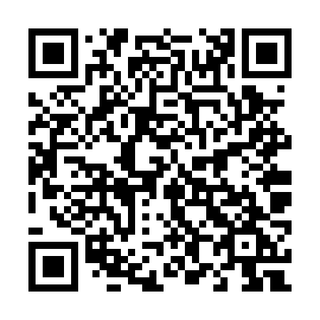 QR code for 486-PZG