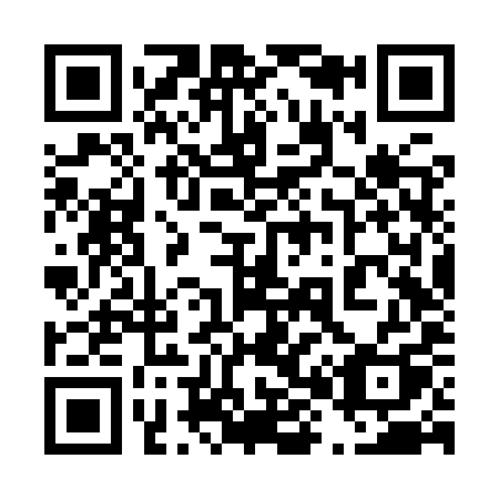 QR code for plate 486-YYQ