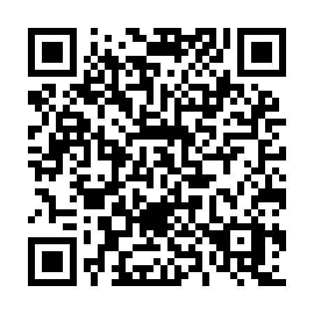 QR code for 487-ICX