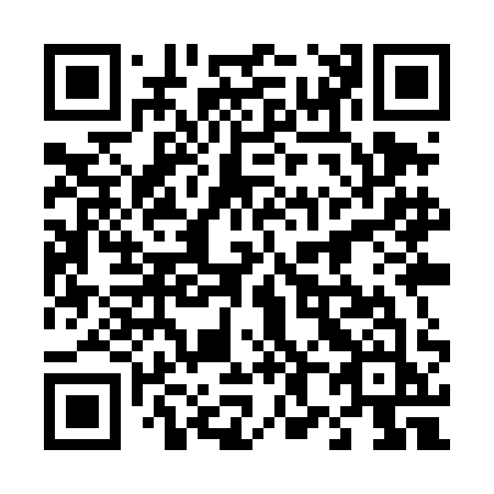 QR code for 489-TAJ