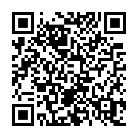 QR code for plate 489-GZF