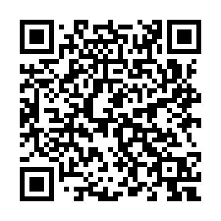 QR code for plate 489-ISP