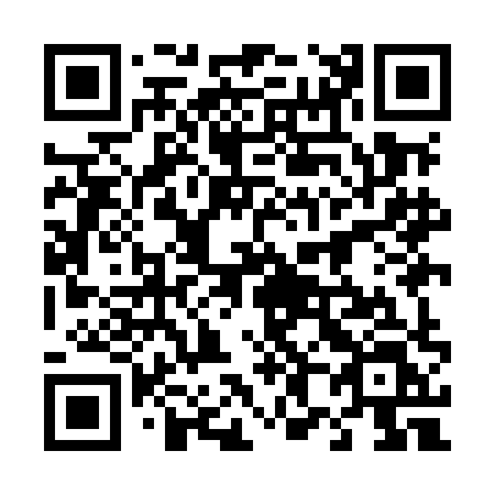 QR code for plate 489-MHL