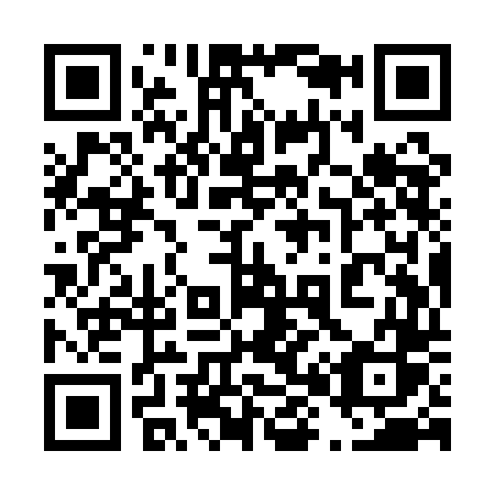 QR code for plate 489-QDS