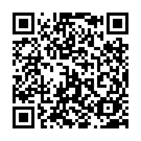 QR code for plate 489-SEM