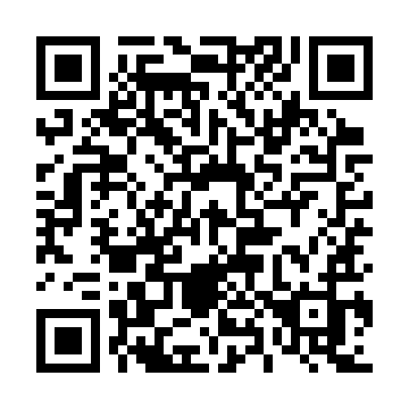 QR code for plate 489-SYJ