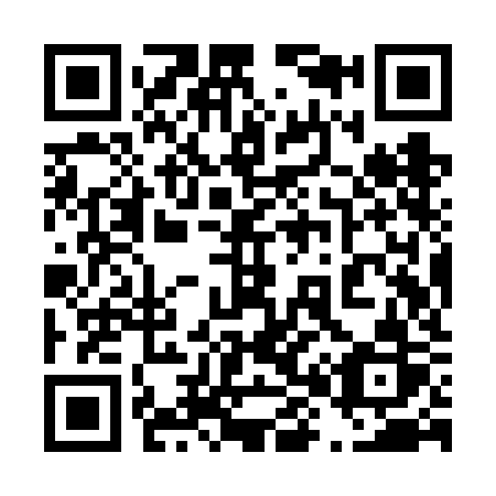 QR code for plate 489-VKR