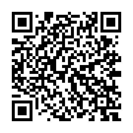 QR code for plate 489-VLK