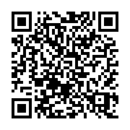 QR code for plate 489-XDP