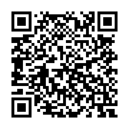 QR code for 490LUZ