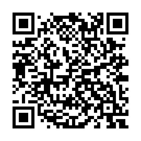 QR code for 491-PIK
