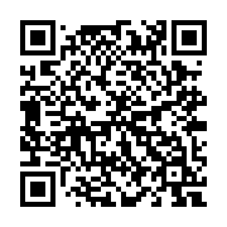 QR code for 491-PIN