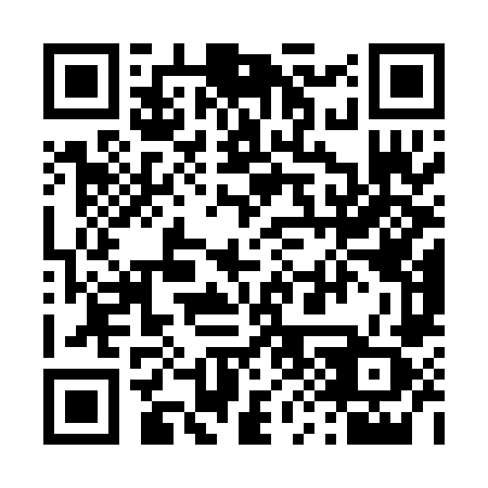 QR code for 491-PNZ
