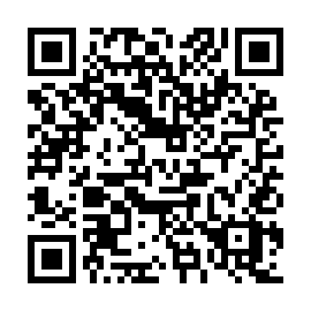 QR code for 491-YEX