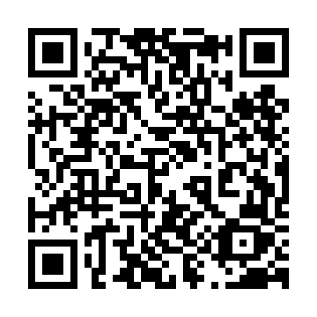 QR code for plate 491-DFZ