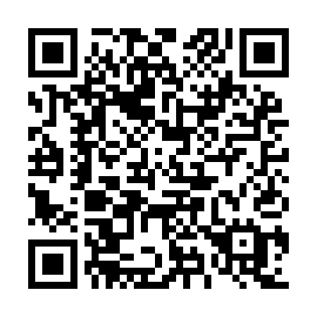 QR code for plate 491-IAE