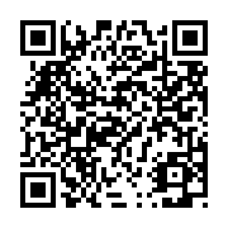 QR code for plate 491-LNP