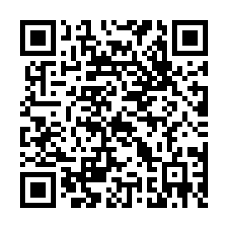 QR code for plate 491-UIG