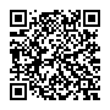 QR code for plate 492-XBS