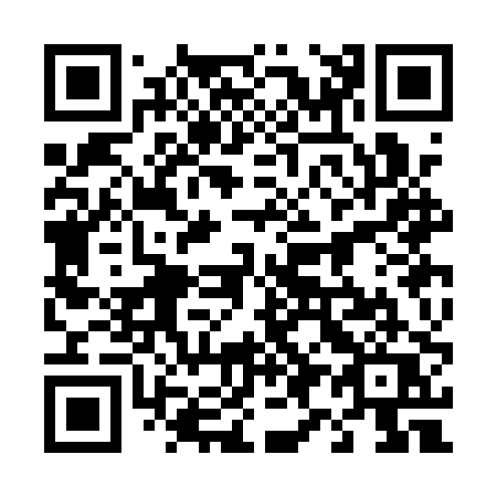 QR code for 493-APQ