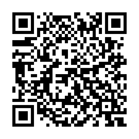 QR code for 493-EEZ