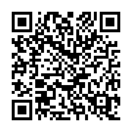 QR code for 493-EXG