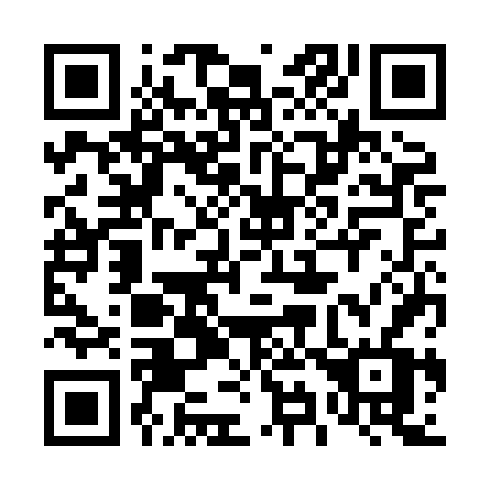 QR code for 493-HFV