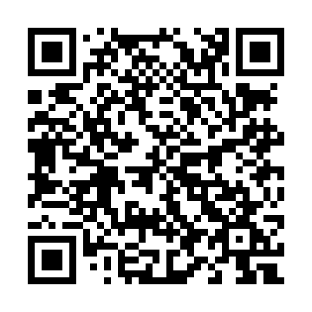 QR code for 493-LGG