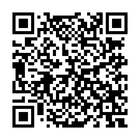 QR code for 493-LLO