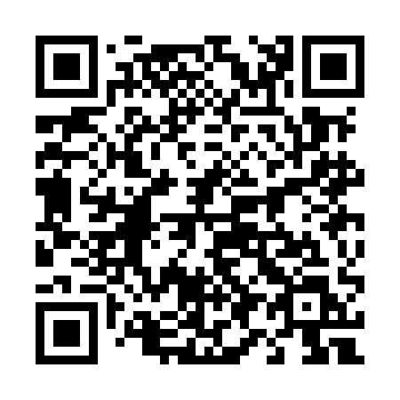 QR code for 493-MAL