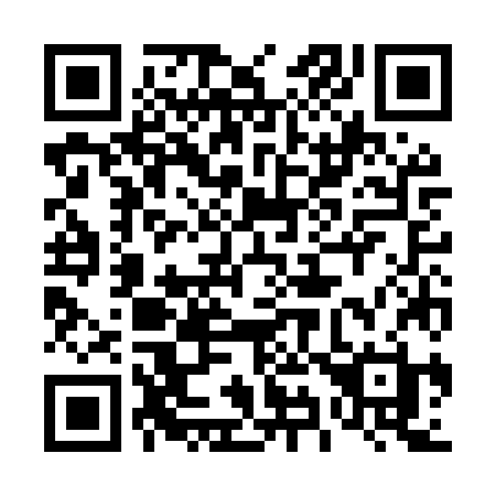 QR code for 493-MZH