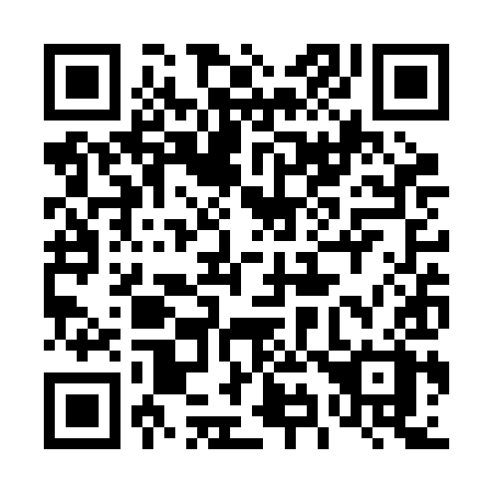 QR code for 493-RIX