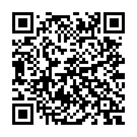 QR code for 493-TPA
