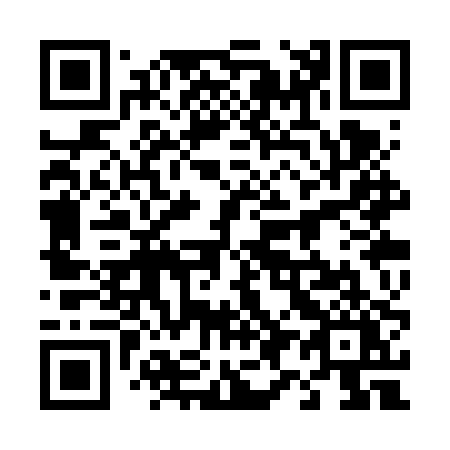 QR code for 493-VPY