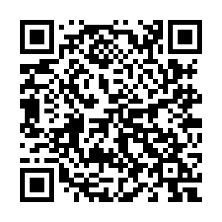 QR code for 493-XGG