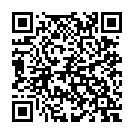 QR code for plate 493-DAG