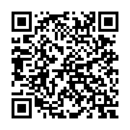QR code for plate 493-DAH