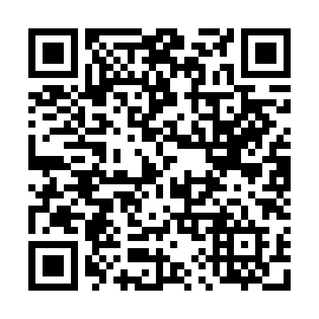 QR code for plate 493-FHD
