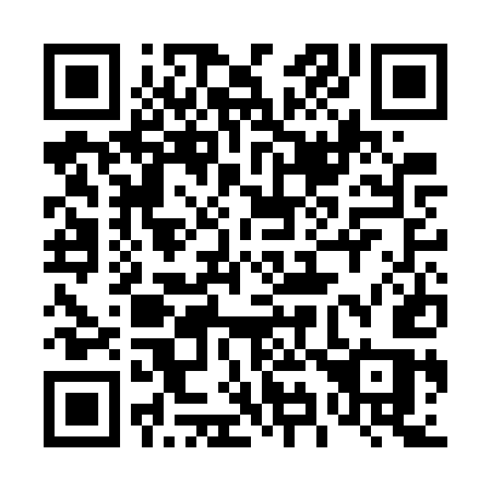 QR code for 493GUS