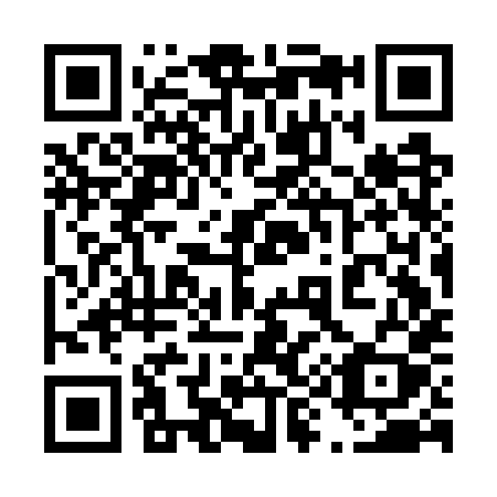 QR code for plate 493-GXY