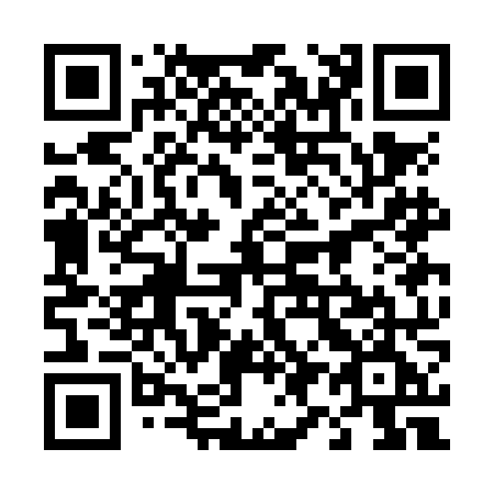 QR code for plate 493-NNE