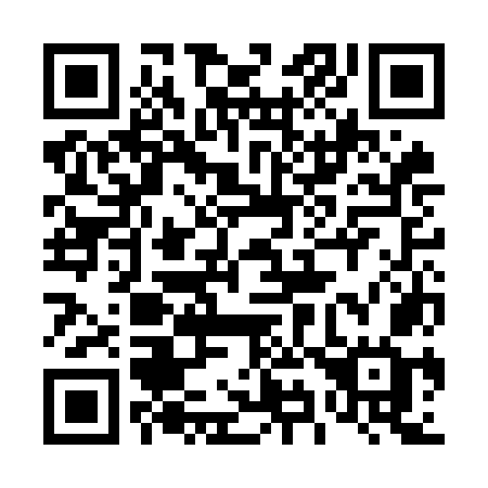 QR code for plate 493-OOG