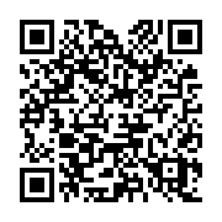 QR code for plate 493-OTX