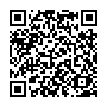 QR code for 493SKK