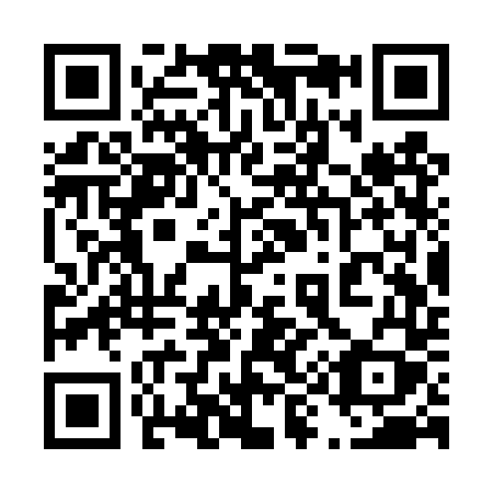 QR code for plate 493-TTY