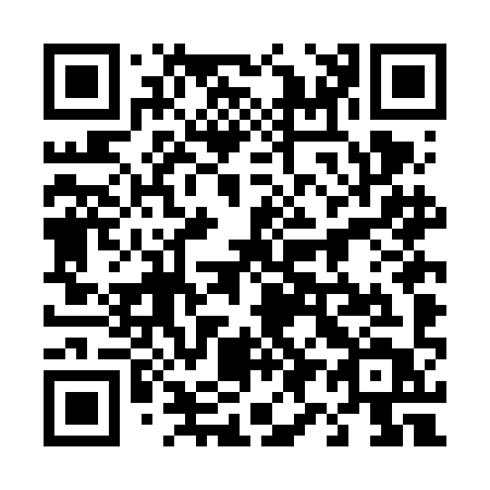 QR code for plate 494-FIT