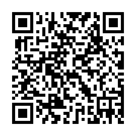 QR code for plate 494-PAT
