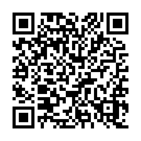 QR code for plate 494-XYZ