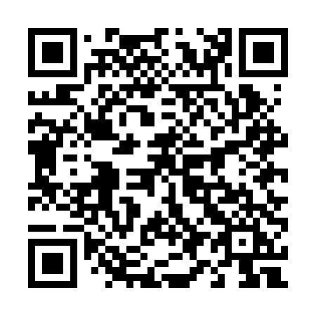 QR code for 495-BTI
